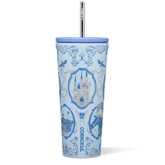Disney Princess Cold Cup - Modern Clean Style