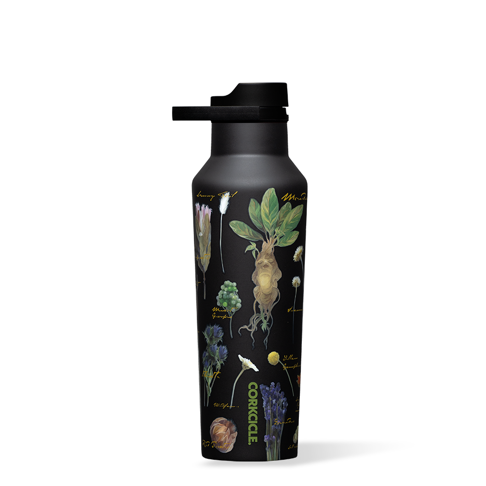 Harry Potter Sport Canteen - Clean Pack